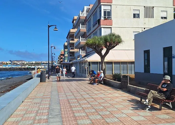 Amarilla 202