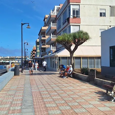 Amarilla 202